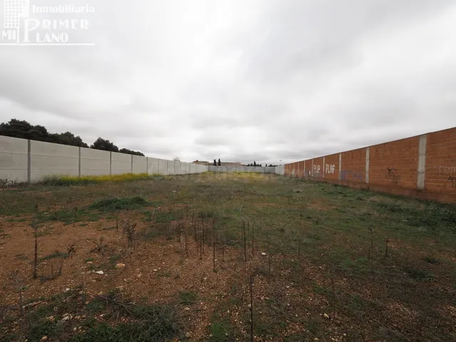 Se vende solar en Tomelloso con 3250m2 de superficie y 25 de - foto 4