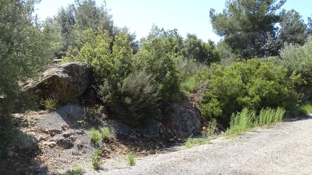 Terreno en venta en Vilamarxant — 11