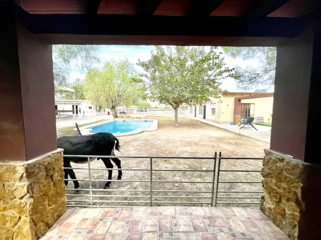 Casa de campo 3 habitaciones 130m² en venta - Montepinar-La Aparecida-Raiguero — 23