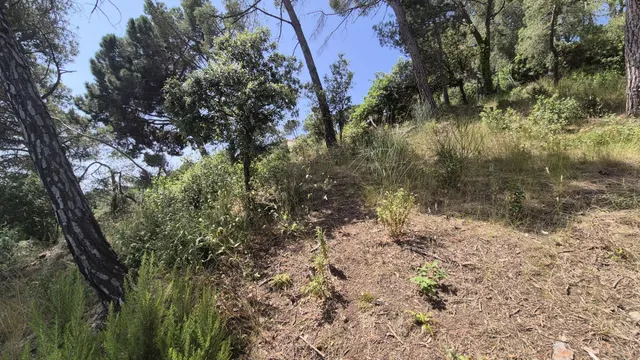 Terreny en venda a Sant Feliu del Racó – Entorn natural i vistes excepcionals — 13