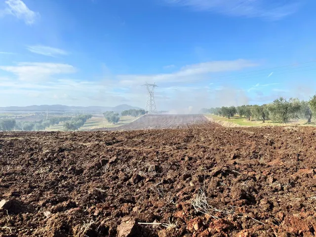 VENTA SUELO RUSTICO- ARABLE DE 51.400 M2, EN BODEGONES - SAL - foto 2