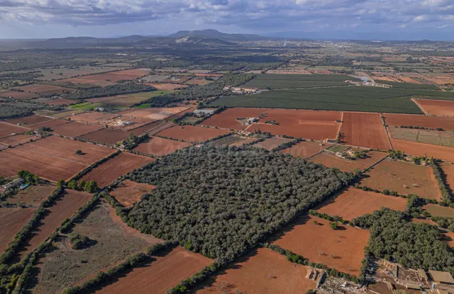 Terreno edificable en Felanitx - foto 5