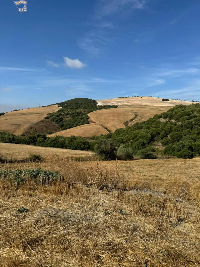 TERRERO RÚSTICO EN ZONA CARRETERA ARCOS-ALGAR — 9