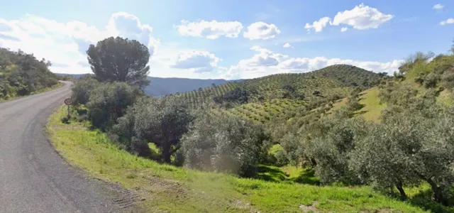 INVERSIÓN SEGURA CON ACCESO ASFALTADO Y RENTABILIDAD DESDE E - foto 2