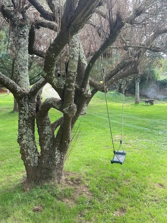 San Isidro. Finca 5.600M con Vivienda familiar — 36