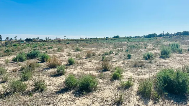 Terreno de 12.000 m2 en Perleta. — 21