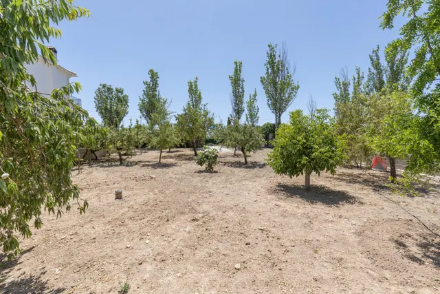 Terreno urbano en la aldea de los Bermejales, termino de Arenas del Rey — 14