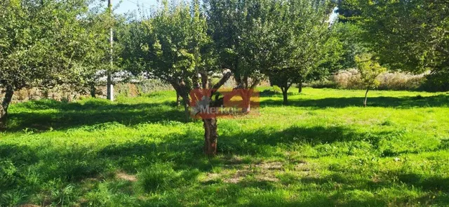 SE VENDE CASA PARA REHABILITAR EN O BARRIO DA CHANCA — 11