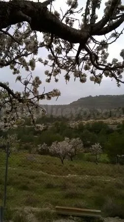 Parcela 300m² en venta - Benissa pueblo — 5