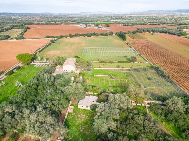 Magnifica finca rústica en la zona de Porreres. — 14