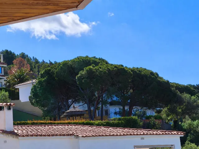 Apartamento 3 habitaciones 128m² en venta - Puig-Rom — 29