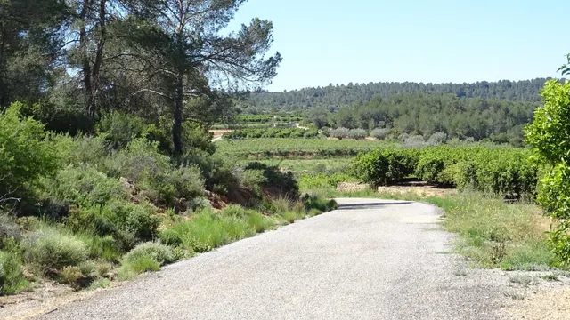 Terreno en venta en Vilamarxant — 7