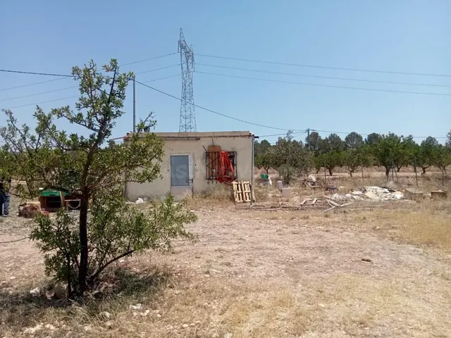 Campo en monovar — 3