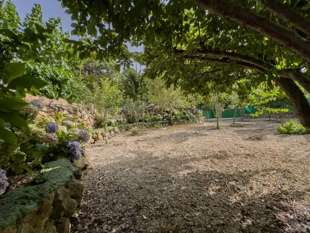 Finca rústica de 5.330 m2 con construcción de 94 m2 en La Florida — 24