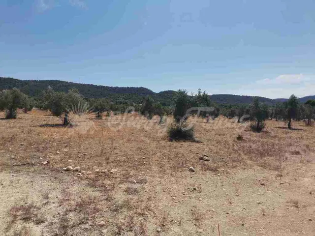 Suelo urbanizable en Venta en Biar Alicante - foto 3