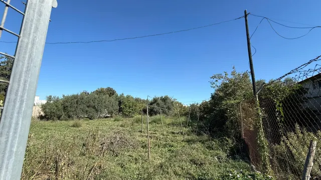 Oportunidad de Inversión en Terreno Rústico - La Alberca, Murcia — 3