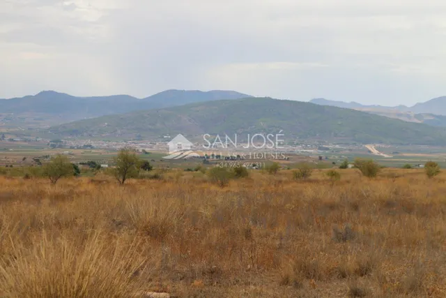 VENTA DE TERRENO EN JUMILLA — 3