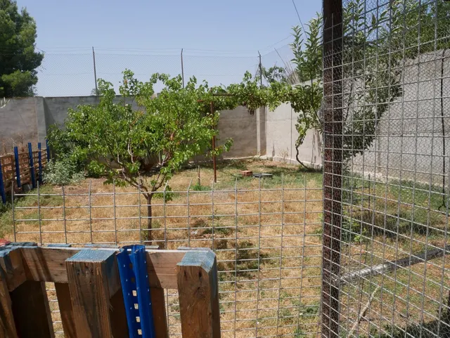 Se venden naves con parcela de 2.868 m2 en Senda De los Garres — 18