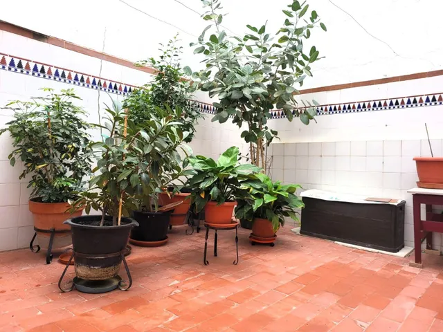PISO DE GRANDES DIMENSIONES 4HAB EN ALTOZANO — 5