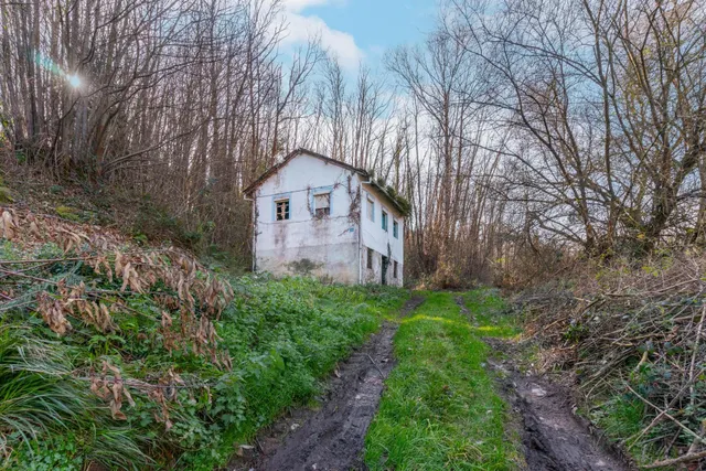 Oportunidad real: casa con parcela para rehabilitar en Tineo — 18