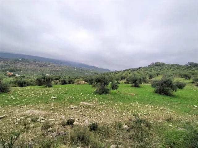 Espectacular finca en la localidad de Alozaina — 17