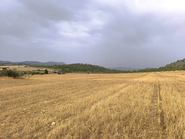 Parcela 200m² en venta - Ayuntamiento — 11