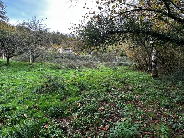 FINCA EDIFICABLE A 3 KM DE CANGAS DE ONIS — 10