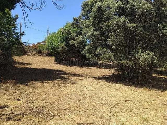 VENTA DE FINCA URBANA EN CUBILLOS DEL SIL — 5