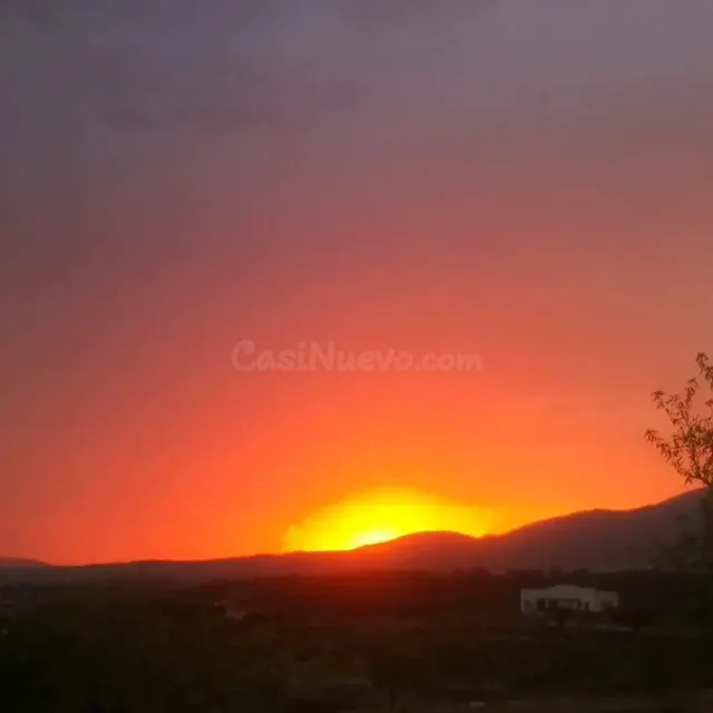 Se vende chalet /monovar / listo para vivir / arboles frutales — 30