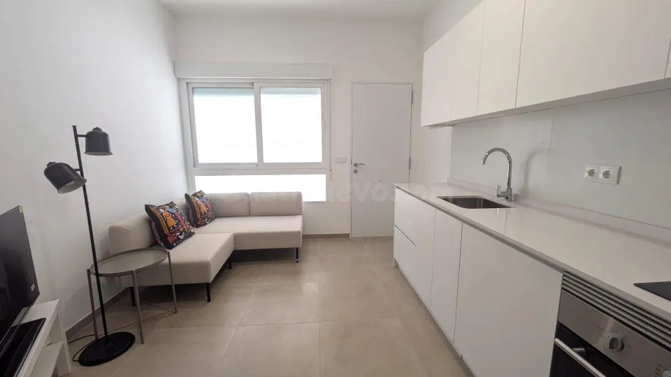 Loft 1 habitación en alquiler - Centro