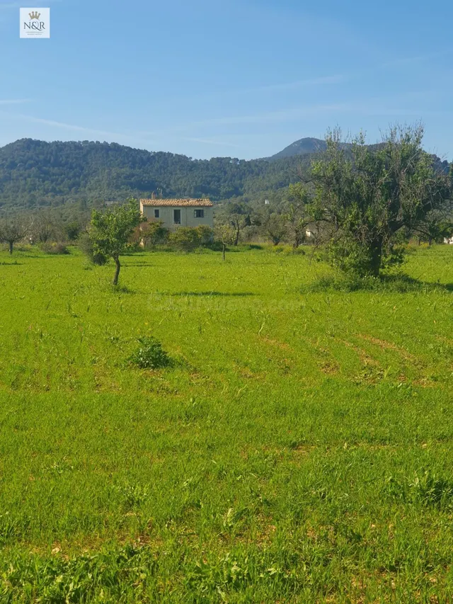 FINCA RÚSTICA EDIFICABLE EN BINISSALEM DE 27.490M2 CON EDIFI