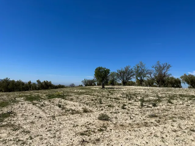 VENTA DE FINCA RUSTICA DE 6,5 HECTAREAS DE ALMENDROS Y ALGUNOS OLIVOS EN DILAR — 34
