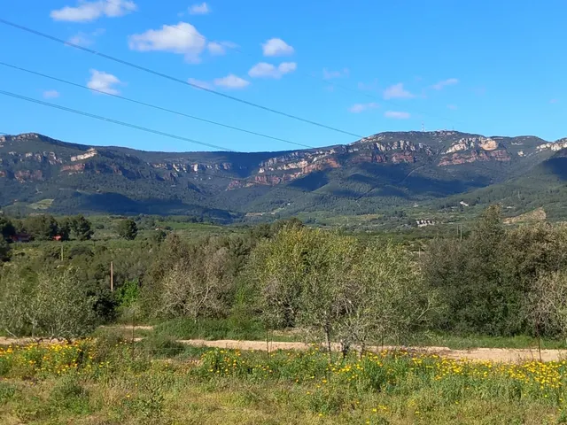 Terreno rural en l'Aleixar — 3