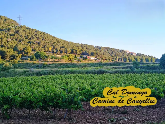 Terreno vallado en la entrada de la urbanización La Cogullada de Canyelles — 10
