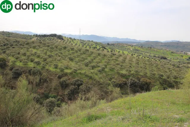 FINCA EN CORTIJO SAN JERÓNIMO (BARTODANO) — 49
