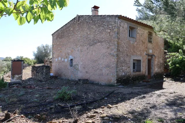 MASIA EN VILAFAMES CON TERRENO — 48
