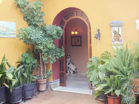 CHALET CERCA DE DOS HERMANAS, A POCOS MINUTOS DE SEVILLA — 13