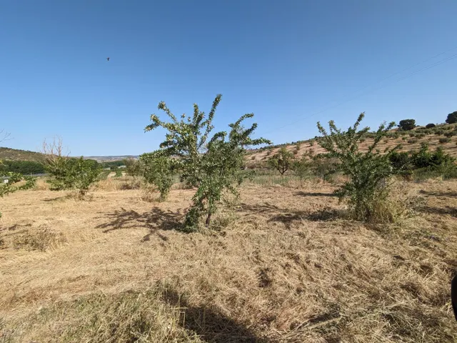Terreno urbano 58m² en venta - CARRETERA — 7