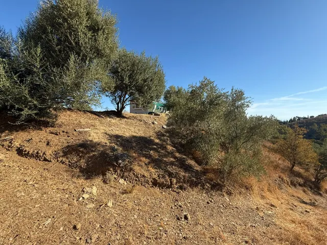 CASA DE CAMPO – VIÑA BORREGO, CÁRTAMA — 5