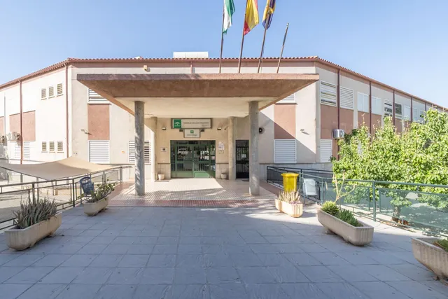 LOCAL DIÁFANO FRENTE AL INSTITUTO Y AL PABELLÓN MUNICIPAL DE OGÍJARES — 23