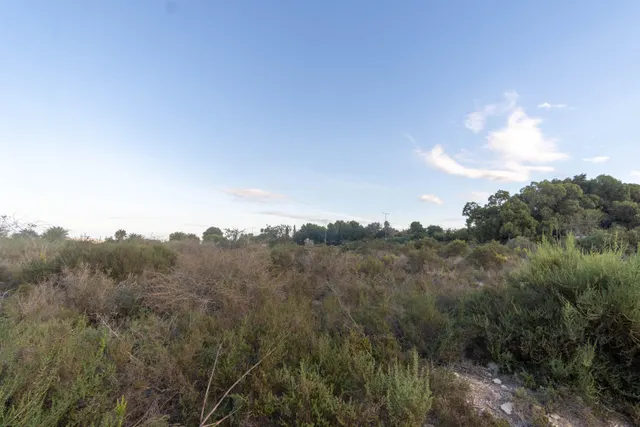 Te gustaria tener  un terreno rústico en  la misma carretera de Santa Pola donde pasar los domingos? parcela de 12.445 m2 — 2