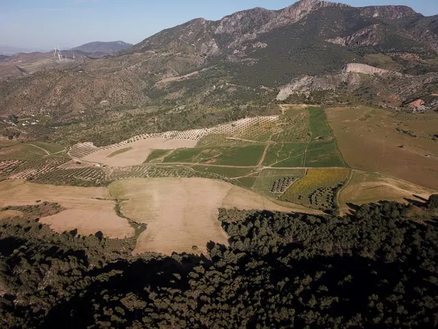 Impresionante finca edificable cerca de Málaga — 36