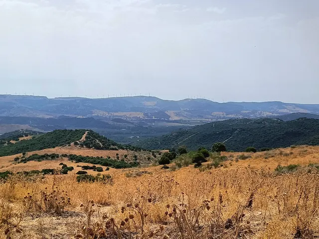 Finca Agrícola 800m² en venta - Riviera del sol — 11