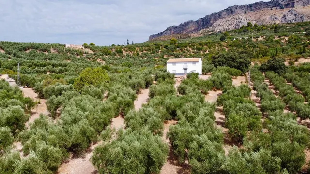 Encantadora casa de campo a los pies de El Torcal de Anteque - foto 2