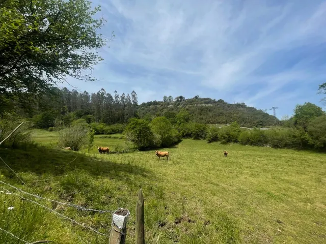 TERRENO RUSTICO EDIFICABLE EN ROIZ - VALDALIGA — 3
