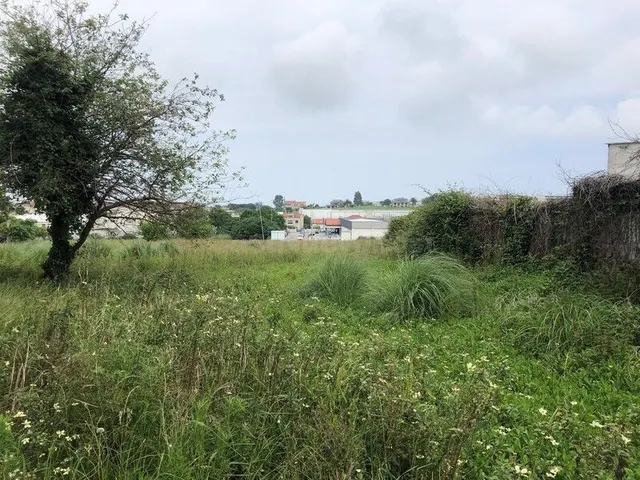 Piso 562m² en venta - Alisal - Cazoña - San Román - foto 5