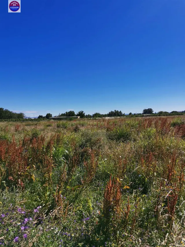 Venta Parcela rustica en Marcilla - foto 2
