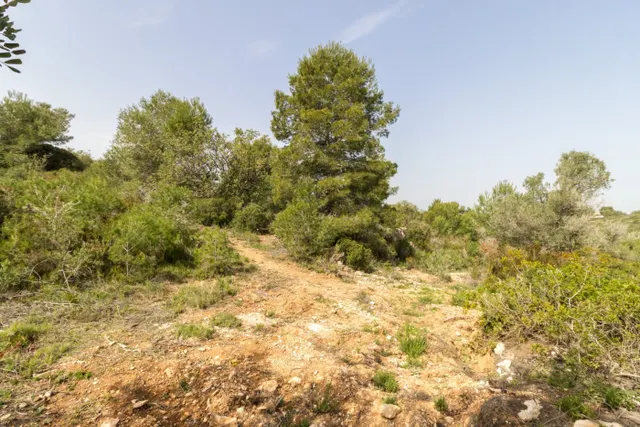 PARCELA ECONÓMICA EN MONSERRAT, EN LA URBANIZACIÓN COLINAS VENTA CABRERA. — 8