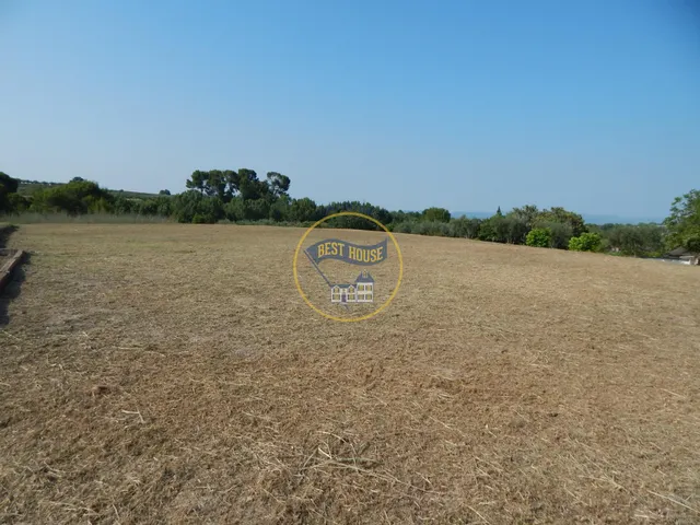 TERRENO EN ALBAIDA. — 3