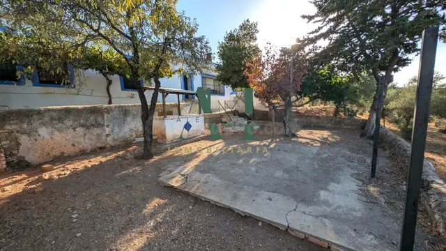Gran Casa de Campo a 6 km de Cáceres - foto 3